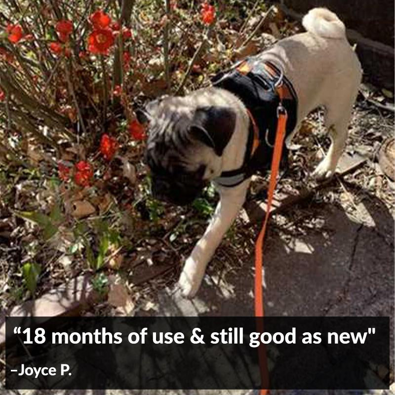Joyride, Orange Plaid Dog Harness, No-Pull, Adjustable & Reflective, Heavy-Duty with Handle
