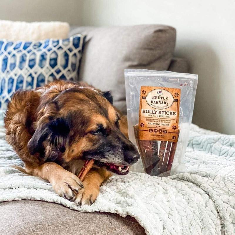 Bully Sticks 6" - All Natural Beef