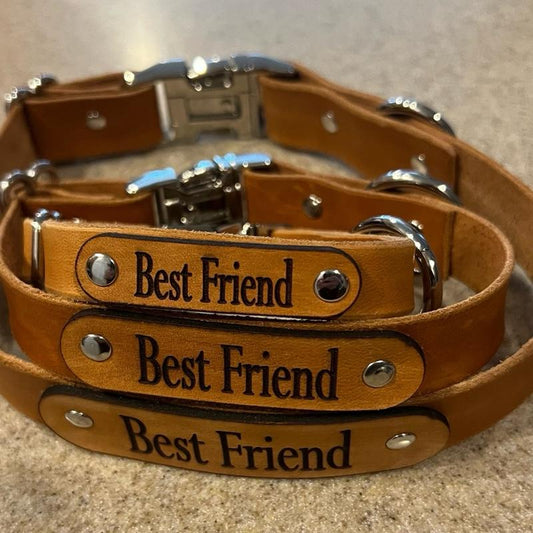 Personalized Hand Made Leather Dog Collar.