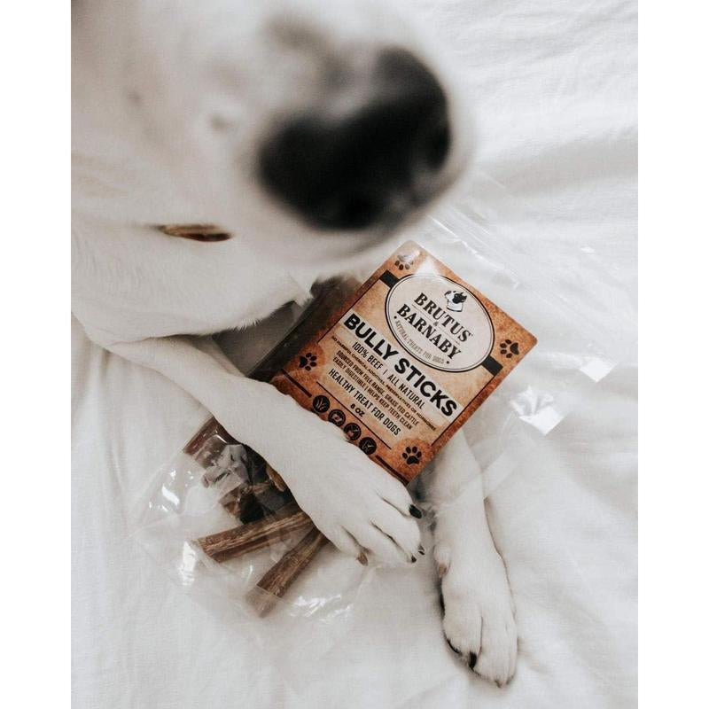 Bully Sticks 6" - All Natural Beef