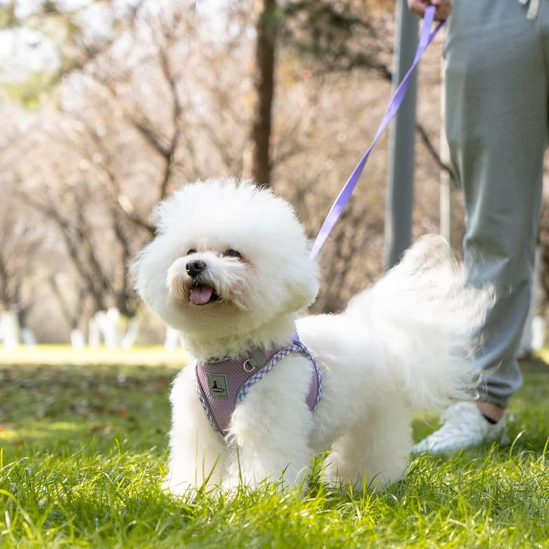 No Pull Dog Harness and Leash Set for Small Pets - Adjustable, Soft Breathable Vest with Reflective Strips for Easy Walking