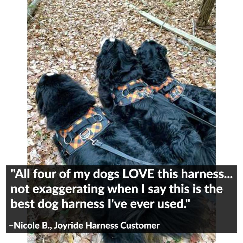Joyride, Orange Plaid Dog Harness, No-Pull, Adjustable & Reflective, Heavy-Duty with Handle