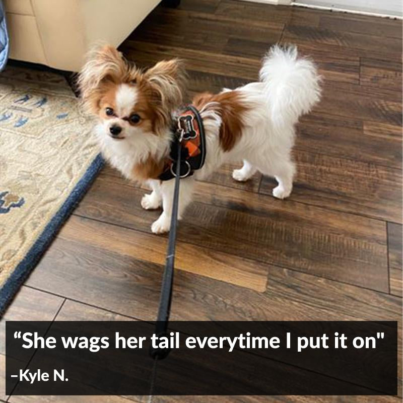 Joyride, Orange Plaid Dog Harness, No-Pull, Adjustable & Reflective, Heavy-Duty with Handle