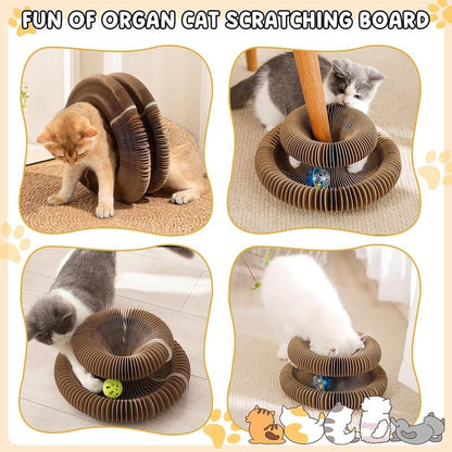 Cat Scratcher Toy, 1 Box Foldable Cat Scratcher Toy with Ball, Interactive Cat Toy, Pet Supplies for Indoor and Outdoor Use, Christmas Gift